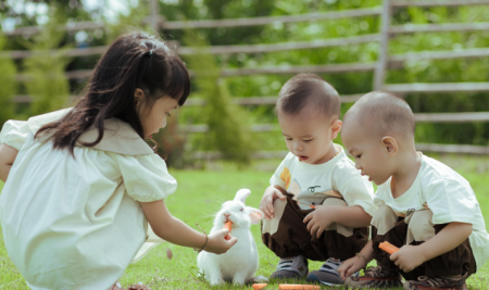 Why Peruvian Families Have the Right to Choose Their Children’s Education